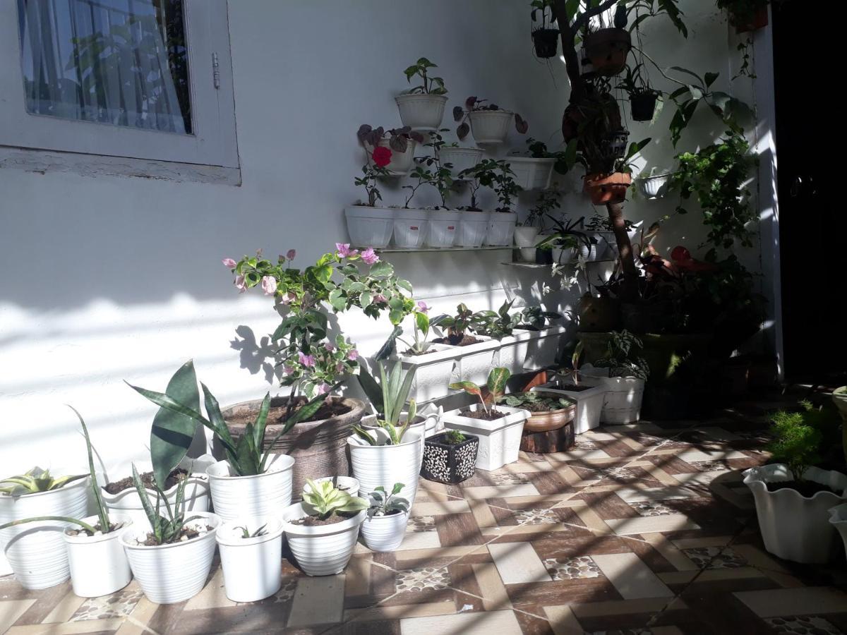 Bumimi Homestay Painan Zewnętrze zdjęcie