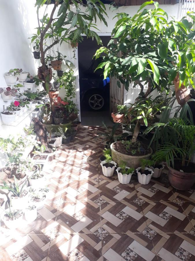 Bumimi Homestay Painan Zewnętrze zdjęcie