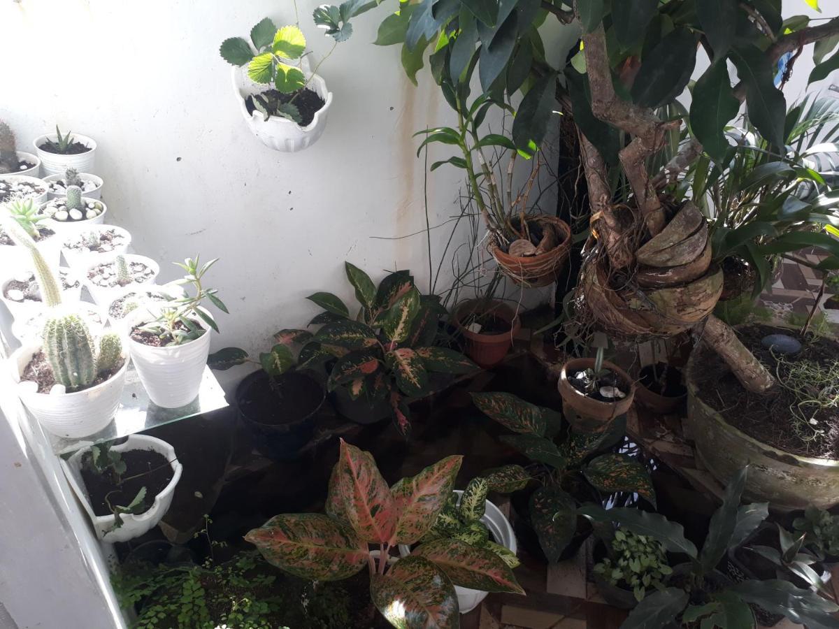 Bumimi Homestay Painan Zewnętrze zdjęcie